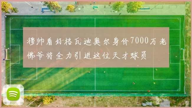 穆帅看好格瓦迪奥尔身价7000万老佛爷将全力引进这位天才球员